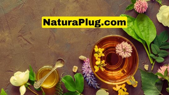 Naturaplug